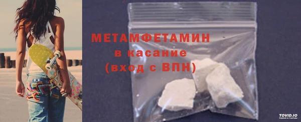 прущие грибы Михайлов