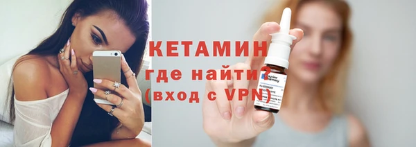 прущие грибы Михайлов