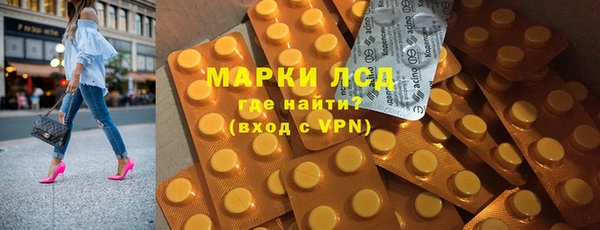 прущие грибы Михайлов