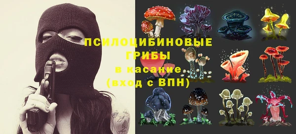 прущие грибы Михайлов