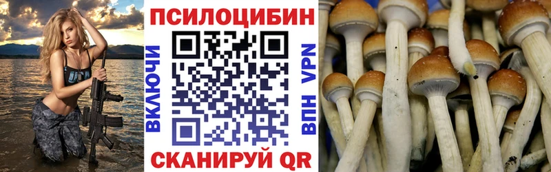 купить закладку ссылка на мегу ССЫЛКА Галлюциногенные грибы Magic Shrooms Малаховка